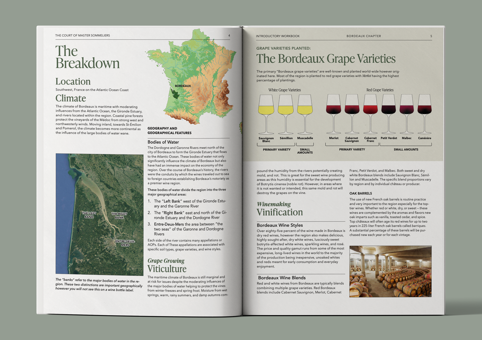 Grape variety breakdown